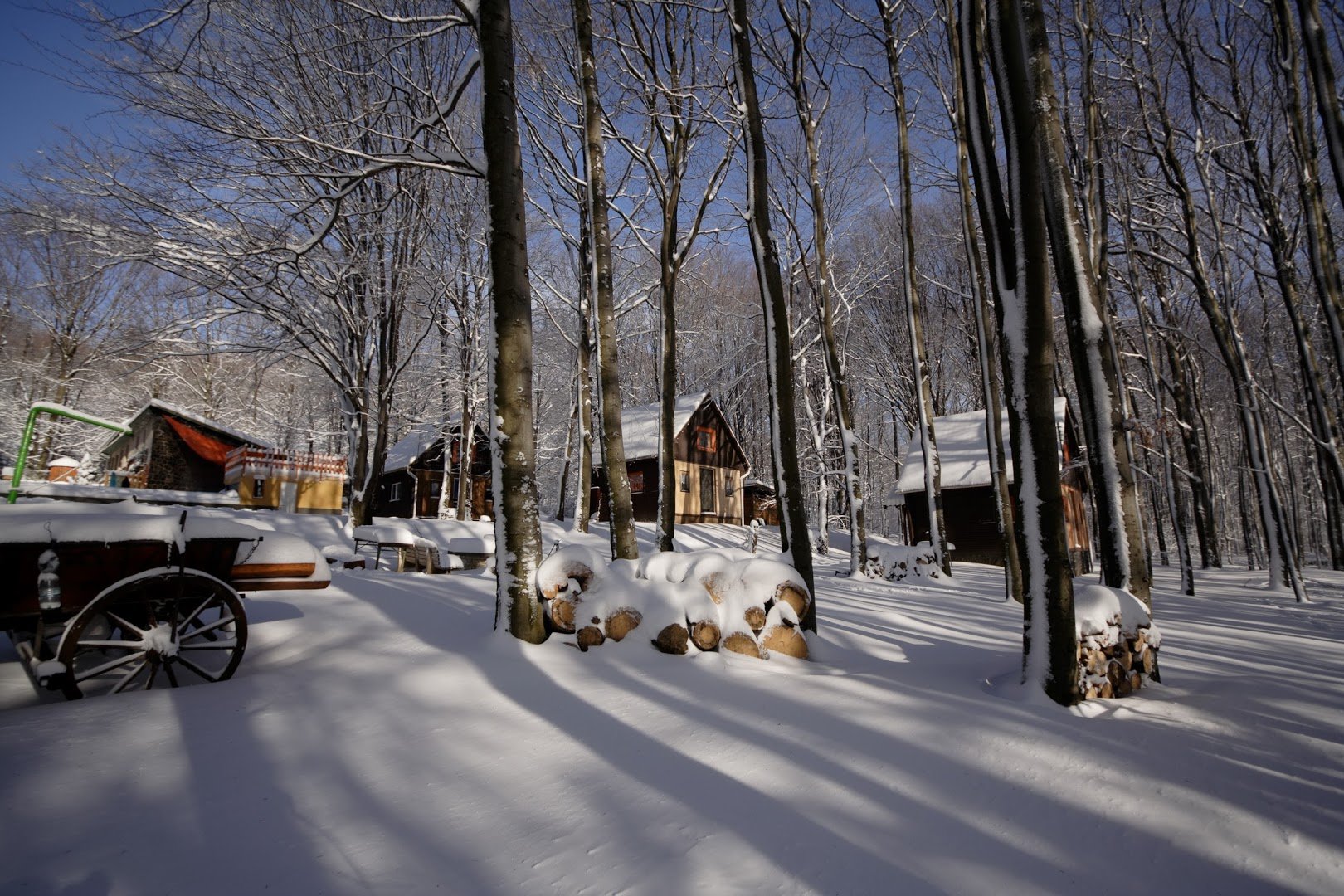 Faházak az erdőben Faházak az erdőben